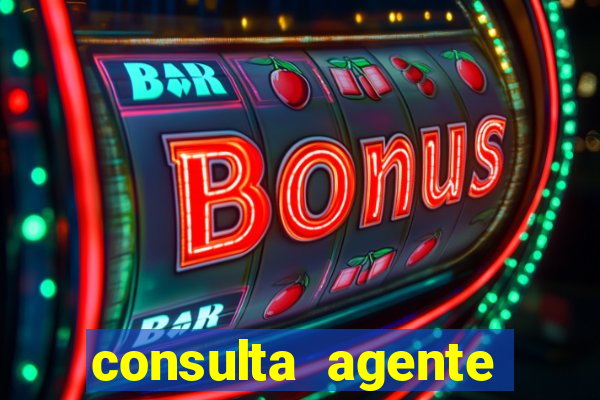 consulta agente autuador sp